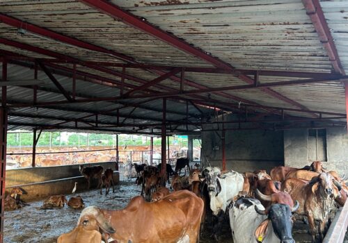 WhatsApp Image 2025-07-22 at 7.11.48 PM