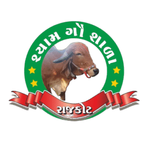 શ્યામ ગૌશાળા (4)